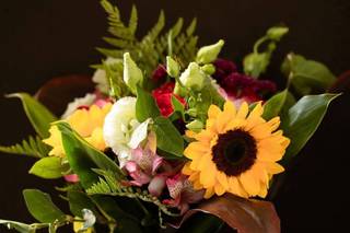 Alexandra Doehnert Cerimonial - 7