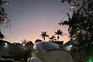 LoveBug - 14