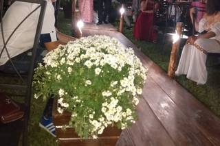 Chácara Rainha - 8