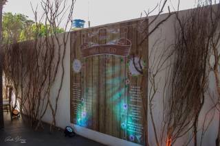 Vibe Eventos - 7