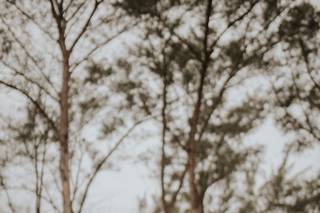 FotografArte - 6