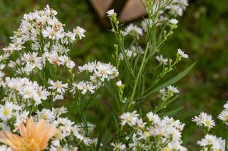 Versalles Decor - 23