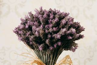 Diogo Oliveira Eventos - 8