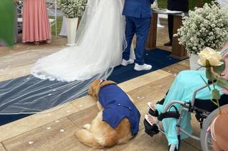 Adriano Siniscalchi - 8