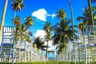 Festiva Festas e Cerimonial - 18