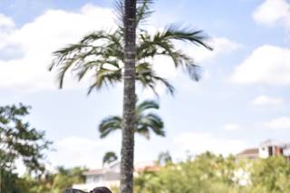 Eliane Saraiva Photography - 8