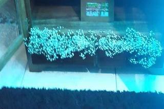 Bela´s Empório - 14