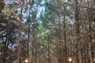 Chácara It's Ok - 10