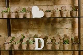 Suculentas Cultive o Amor - 21