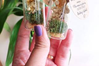 Jardim no Traço - 6