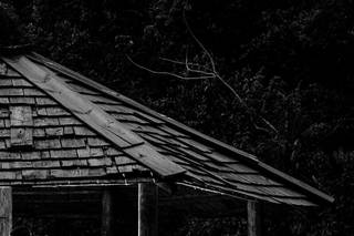 Marcelo Gimenes - Fotografia - 4