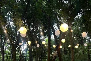 Império da Mata - 8