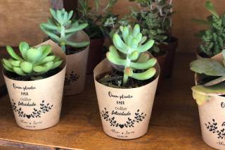 Little Garden - 6