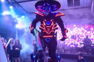 Roboled - 10