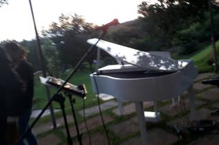 Wedding's Piano - 6