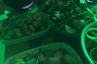 Buffet Da Flor - 8