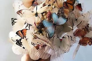 Josephine - 7