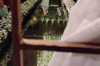 Malu Pelegrini - Assessoria - 14