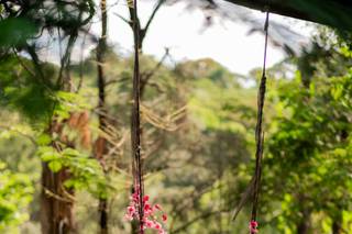 Ilustre Garden - 25