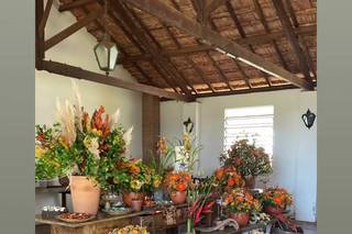 Alex Camargo Decorações - 1