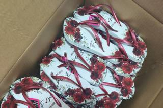 Pé de Noiva Oficial - 1