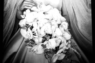 Fabio Oliveira Beauty - 21
