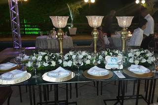 Damas Decor - 3