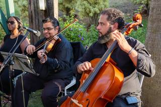 Piano & Cia. Assessoria Musical - 5