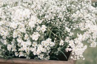 Flores de Lira Decoração e Assessoria - 17