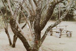 Recanto Elefante - 6