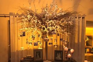 Thiago Palmeri Eventos - 14