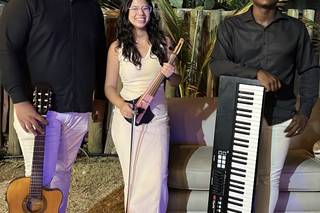 Vivace Bahia - 13