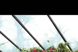 703 Coquetelaria - 9