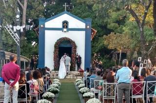 Flor de Anis Decor - 16
