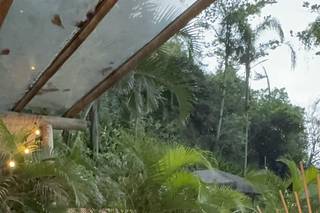 Celebrante Dreska Fuze - 8