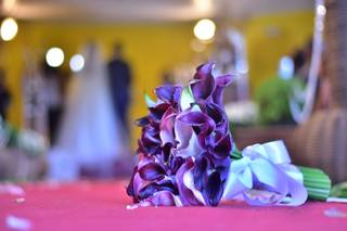 Sítio São Francisco - 8