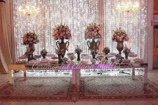 Eliana Mattos Cerimonial - 12