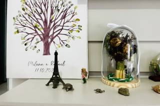 Jardim no Traço - 16