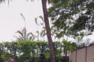 Primeira Essência - 6