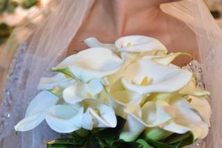 Rodrigo Amaro Fotografia - 18