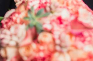 Leandro Lacerda Fotografia - 20