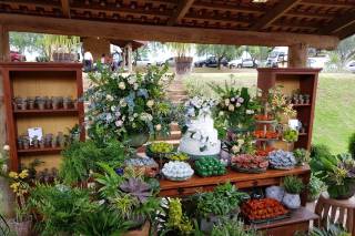 MV Eventos - 10