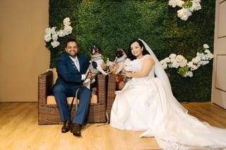 Thaina Pet Sitter - 3