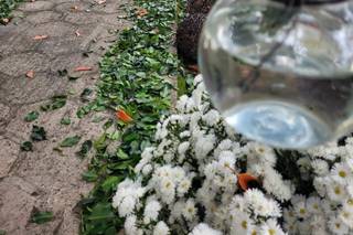 Apoema & Jullieta Decorações - 10