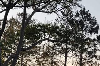 Casa de Campo Espaço de Eventos - 16