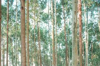 Best Click Photography® - 5