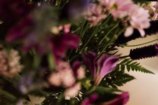 Delicate Convites - 6