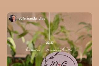 Suculentas Cultive o Amor - 9