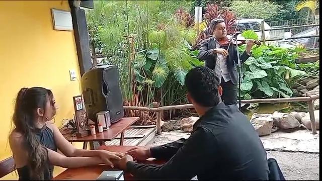 Carvalho Violinista - 1