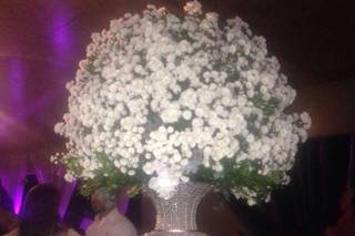 Rufino Projeto & Eventos - 7